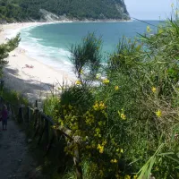 camping-village-internazionale-sirolo-hy1wz
