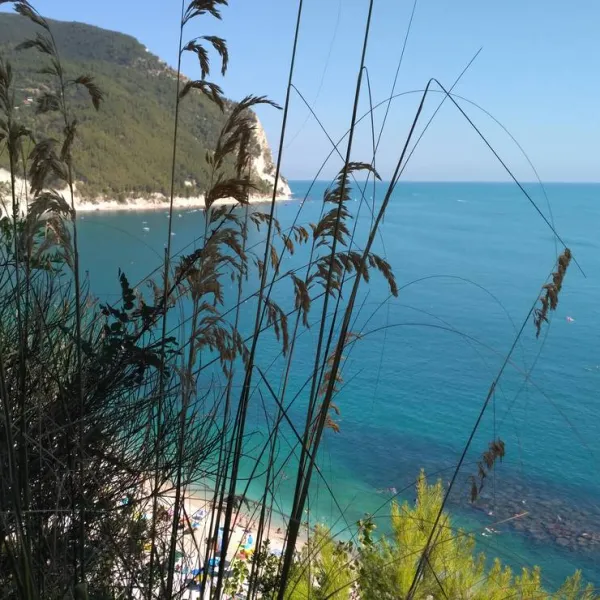 camping-village-internazionale-sirolo-zjxnp