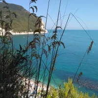 camping-village-internazionale-sirolo-zjxnp