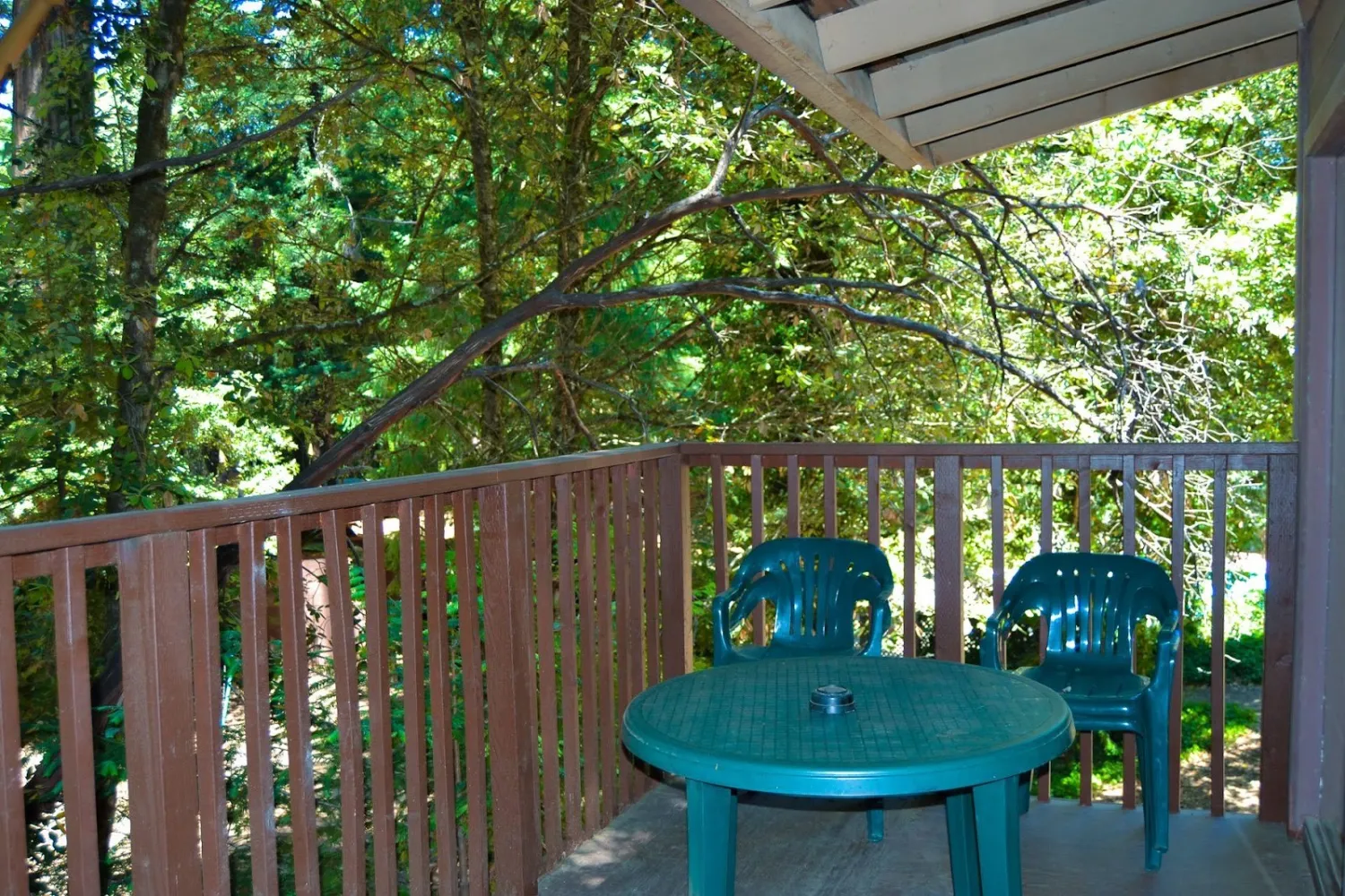 redwoods-river-resort-campground-leggett-zm3tq