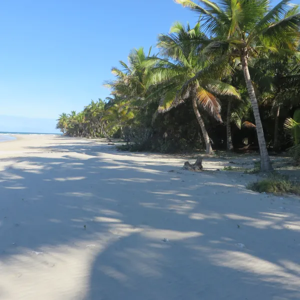 Morrungulo Beach Lodge
