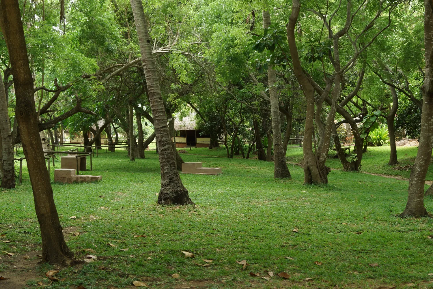 morrungulo-beach-lodge-massinga-y4iwz