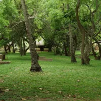 morrungulo-beach-lodge-massinga-y4iwz