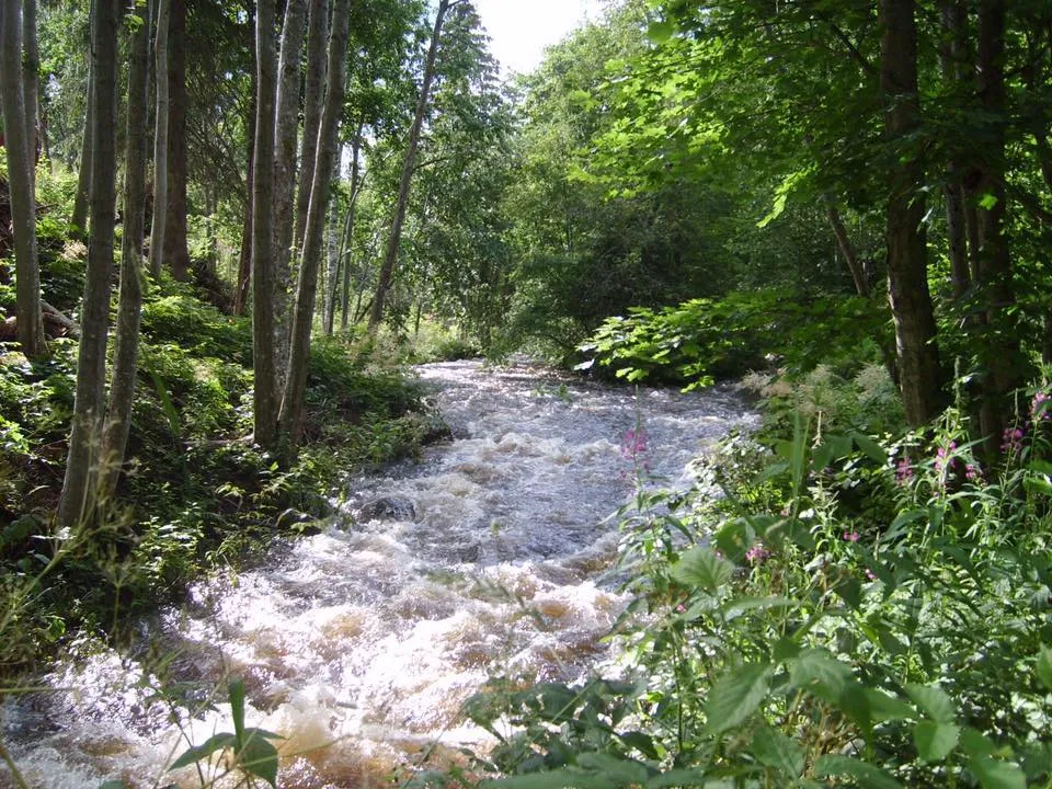 vastra-amtervik-camping-vastra-amtervik-gnhcj