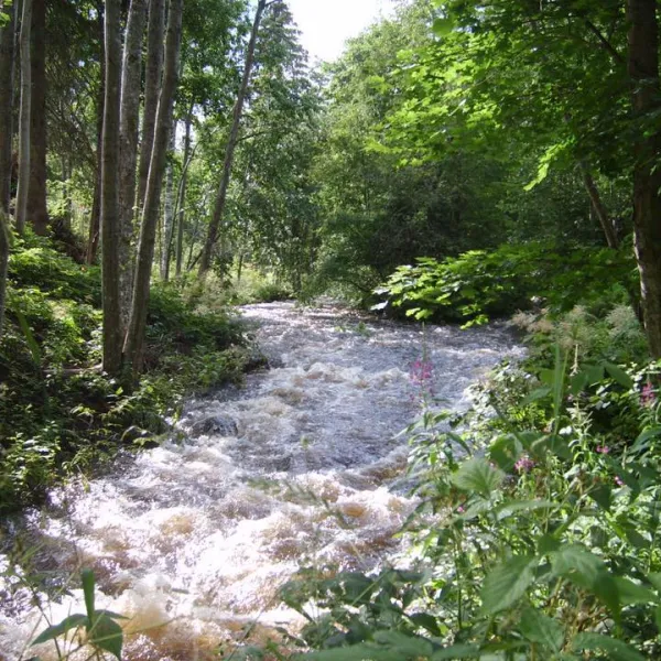 vastra-amtervik-camping-vastra-amtervik-gnhcj