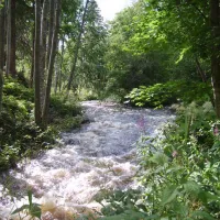 vastra-amtervik-camping-vastra-amtervik-gnhcj