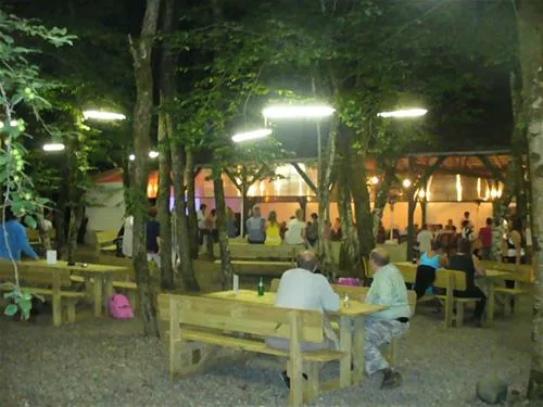 le-saulou-monceaux-sur-dordogne-correze-4bu46