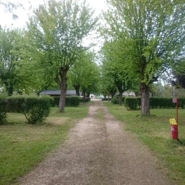 lile-saint-martin-brienon-sur-armancon-gacu7