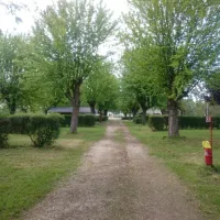 lile-saint-martin-brienon-sur-armancon-gacu7