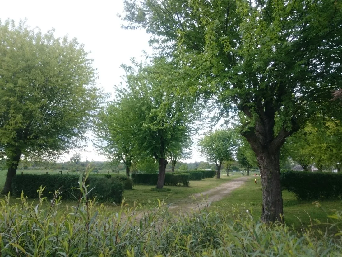 lile-saint-martin-brienon-sur-armancon-vee36