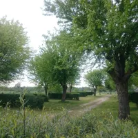 lile-saint-martin-brienon-sur-armancon-vee36
