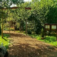 silver-airstream-glamping-chichester-s3a9v