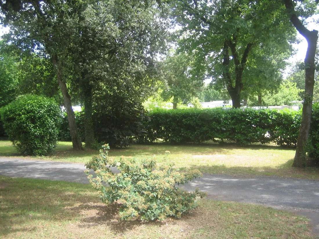 parc-de-la-garenne-pont-labbe-darnoult-charente-maritime-gvvso