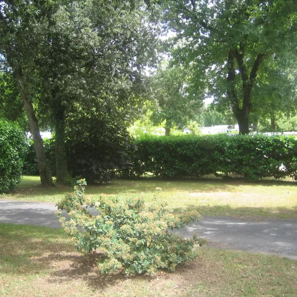 parc-de-la-garenne-pont-labbe-darnoult-charente-maritime-gvvso