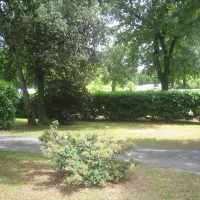 parc-de-la-garenne-pont-labbe-darnoult-charente-maritime-gvvso