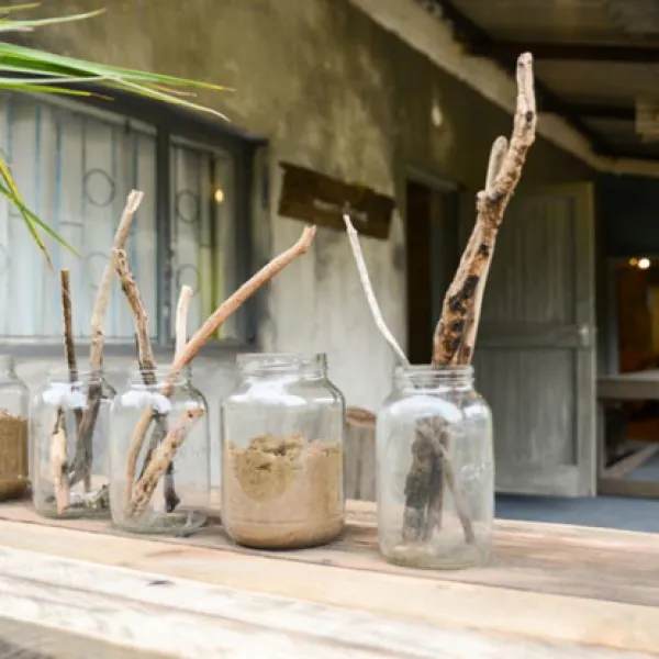 the-hatchery-ongoye-gstp8