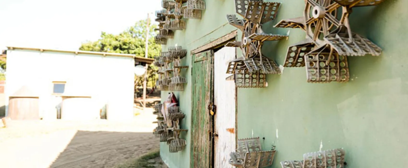The Hatchery