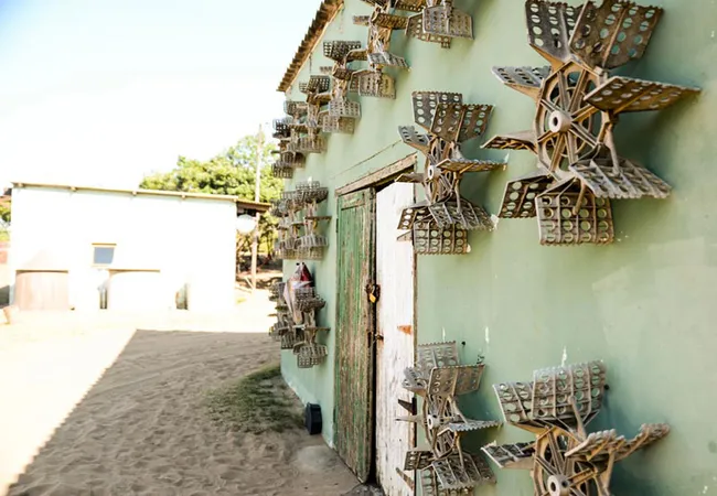 the-hatchery-ongoye-zs7ob