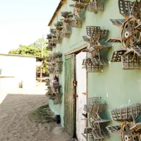the-hatchery-ongoye-zs7ob