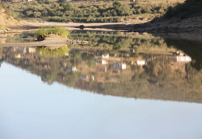gourits-river-campsite-albertinia-satw9