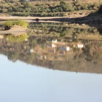 gourits-river-campsite-albertinia-satw9