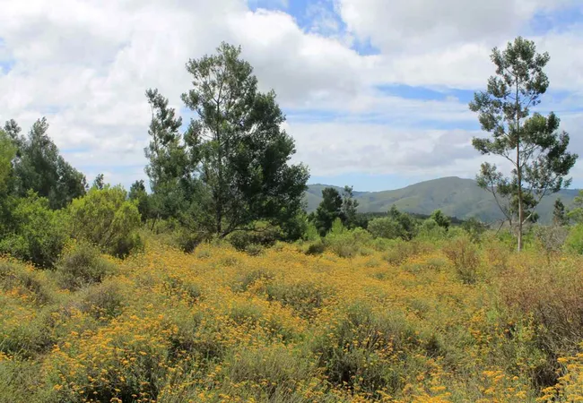 sand-river-getaway-elands-river-valley-baviaanskloof-jn6vz