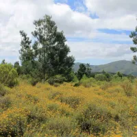 sand-river-getaway-elands-river-valley-baviaanskloof-jn6vz