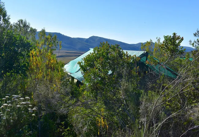 sand-river-getaway-elands-river-valley-baviaanskloof-tq0en