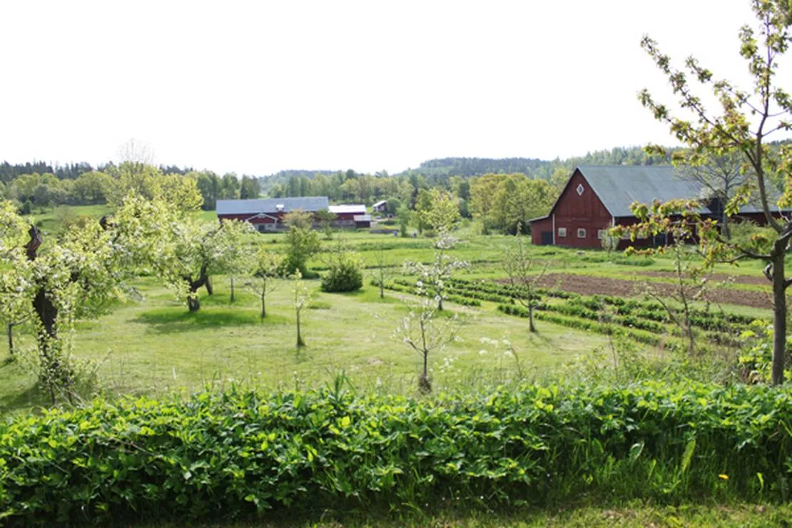 vatterledens-camping-granna-qzqcy