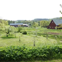 vatterledens-camping-granna-qzqcy