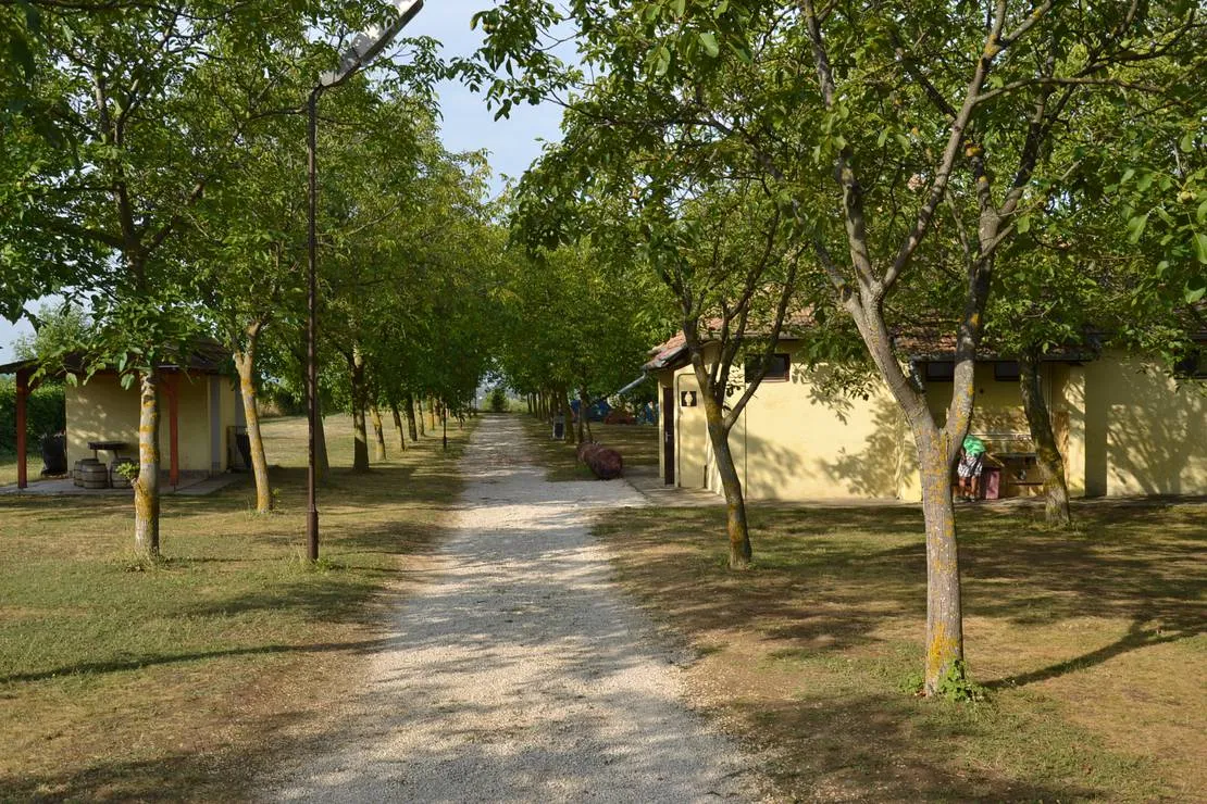 dios-camping-balatonfoldvar-wmvar
