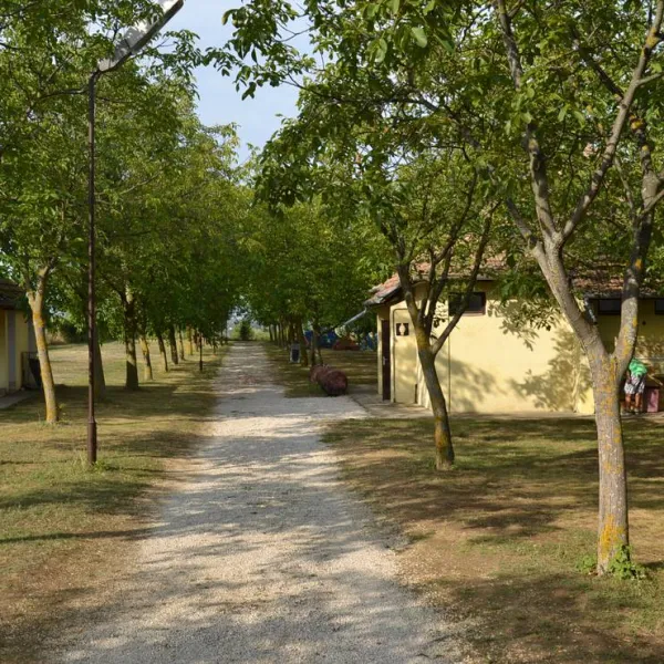Diós Camping