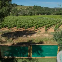 camping-la-rouillere-ramatuelle-5ph1x