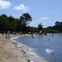 les-bruyeres-ste-eulalie-en-born-landes-5zyia