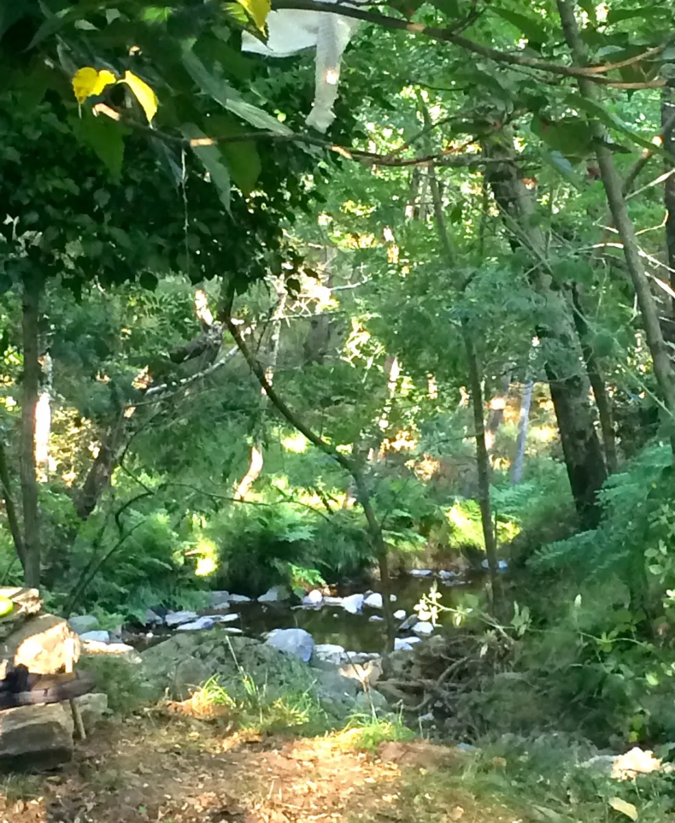 le-moulin-de-gournier-malbosc-tdtiw