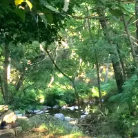 le-moulin-de-gournier-malbosc-tdtiw