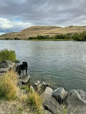 deschutes-river-state-recreation-area-wasco-xd5vc