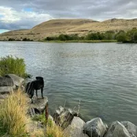 deschutes-river-state-recreation-area-wasco-xd5vc
