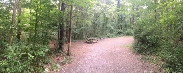 camp-taylor-campground-columbia-kisis
