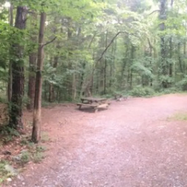 Camp Taylor Campground