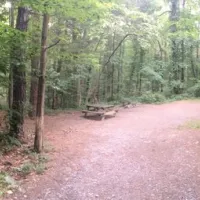 camp-taylor-campground-columbia-kisis