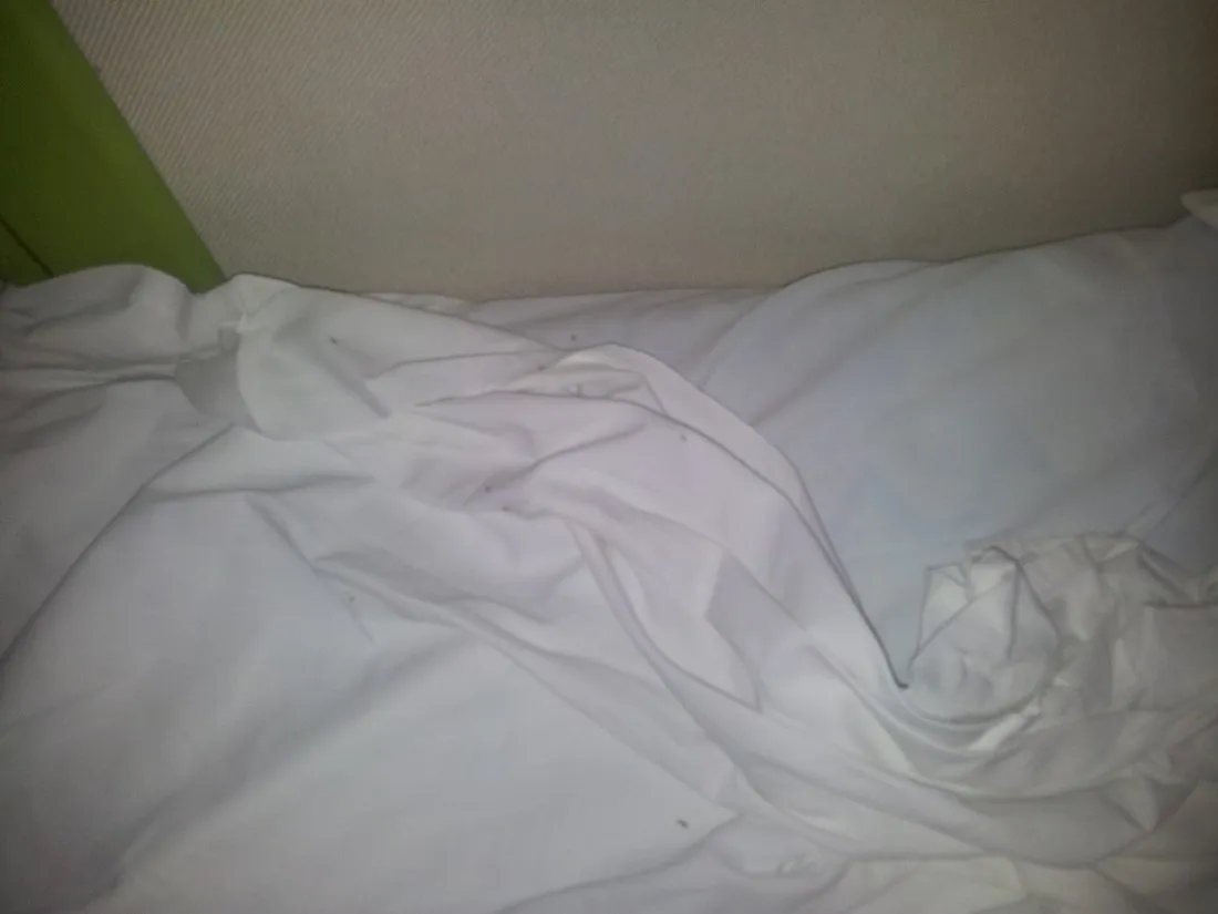 relax-nat-mont-ras-nv5i4