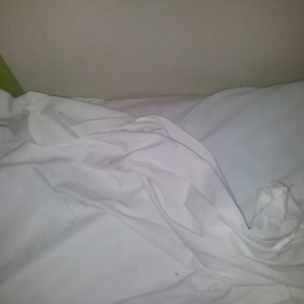 relax-nat-mont-ras-nv5i4