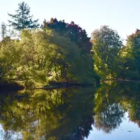 Turkey Swamp Park Campgrounds