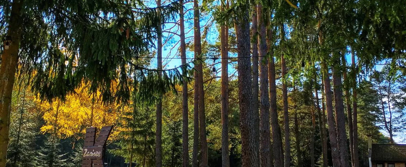 Zacisze.pl