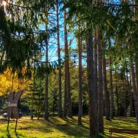 Zacisze.pl