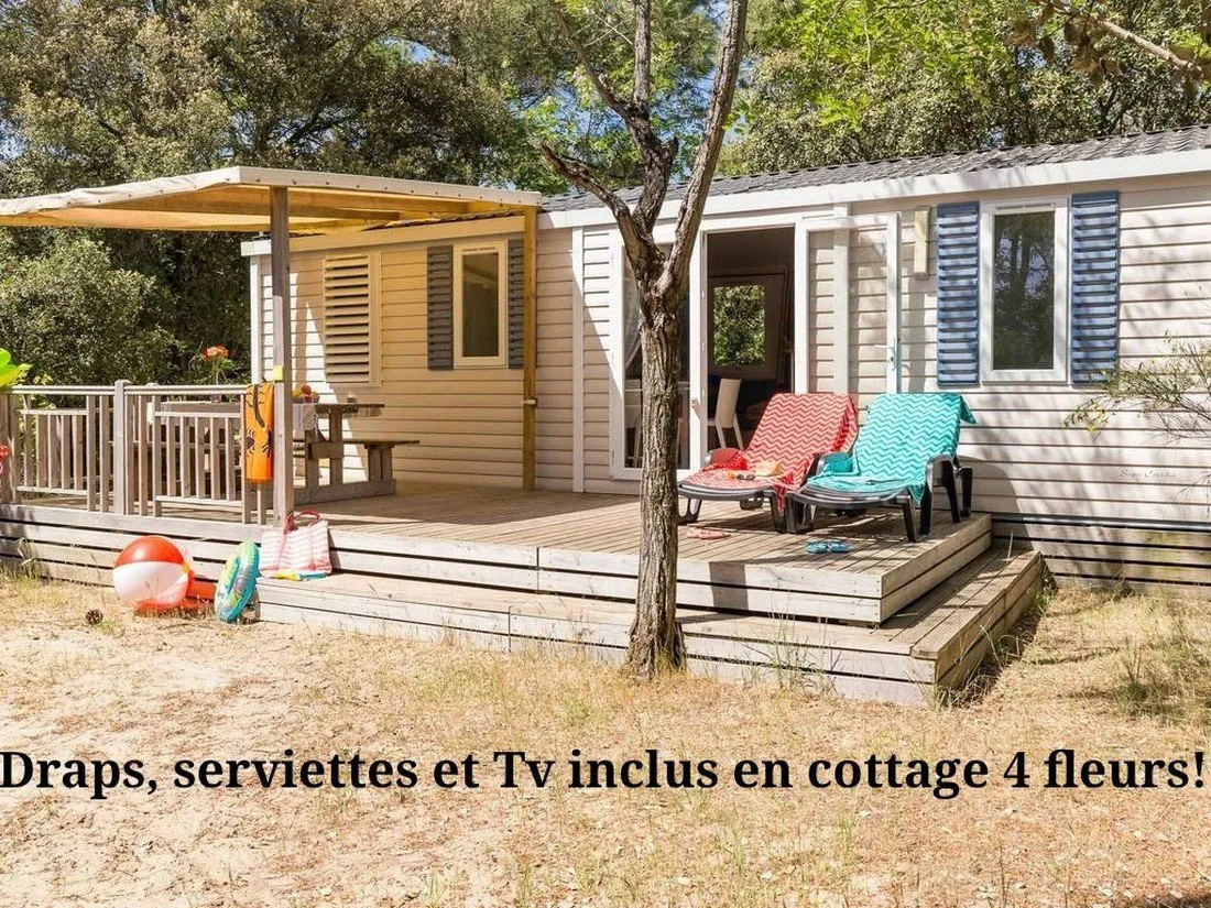 parc-de-la-cocircte-sauvage-les-mathes-la-palmyre-poitou-charentes-5eufe