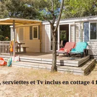 parc-de-la-cocircte-sauvage-les-mathes-la-palmyre-poitou-charentes-5eufe