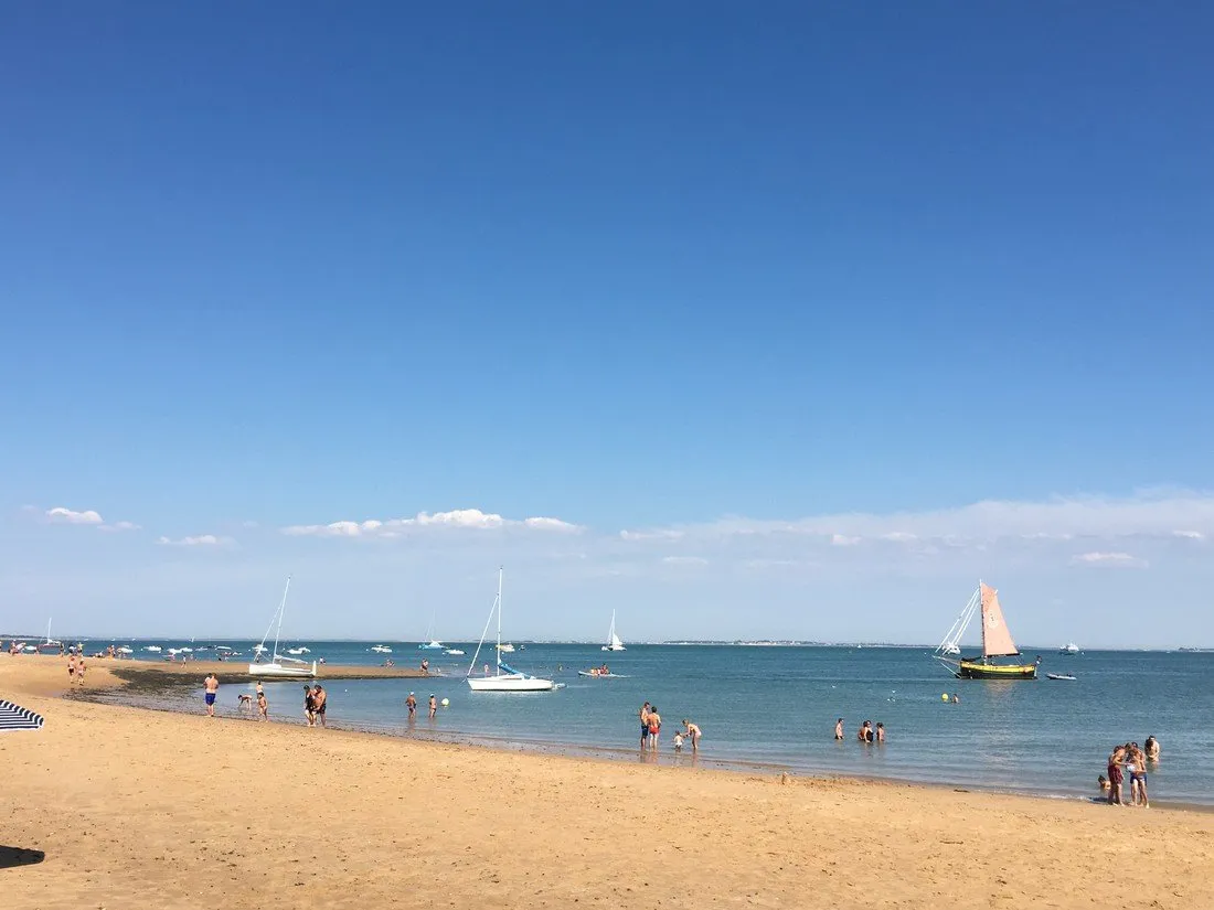 parc-de-la-cocircte-sauvage-les-mathes-la-palmyre-poitou-charentes-ox30c