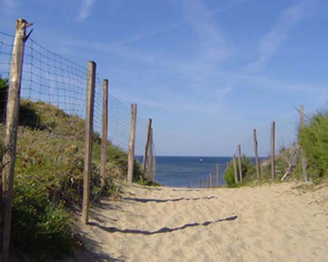 la-cote-sauvage-st-clement-des-baleines-nzfne